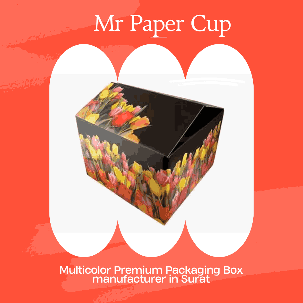 Multicolor Premium Packaging Box manufacturer in Surat