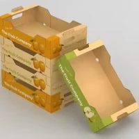 Fruits Packaging Boxes