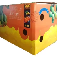 10 kg Mango Box