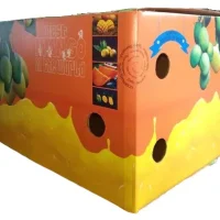 Fruits packaging boxes