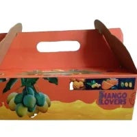 Mango Packaging Boxes